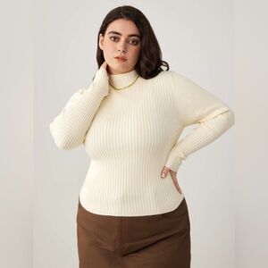 Cider Rib Knit High Neck Solid Long Sleeve Top Curve Size XL NWT